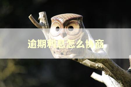 逾期利息怎么协商