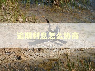 逾期利息怎么协商