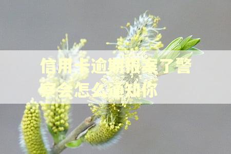 信用卡逾期报案了警察会怎么通知你