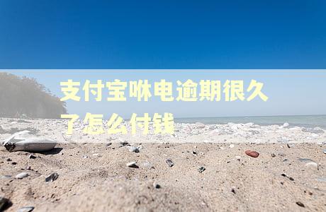 支付宝咻电逾期很久了怎么付钱