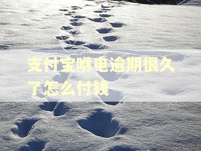 支付宝咻电逾期很久了怎么付钱