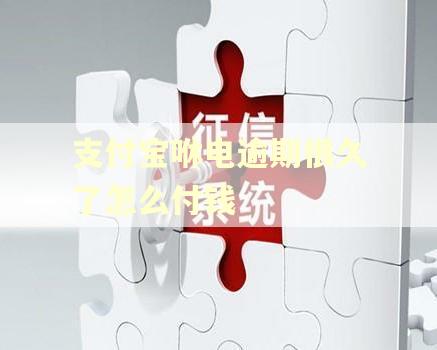 支付宝咻电逾期很久了怎么付钱 支付宝咻电逾期很久了怎么付钱