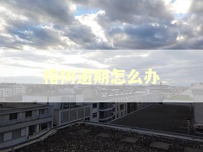 榕树逾期怎么办
