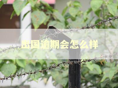 出国逾期会怎么样
