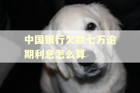 中国银行欠款七万逾期利息怎么算 中国银行欠款七万逾期利息怎么算