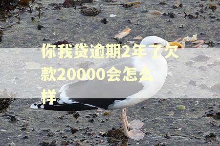 你我贷逾期2年了欠款20000会怎么样