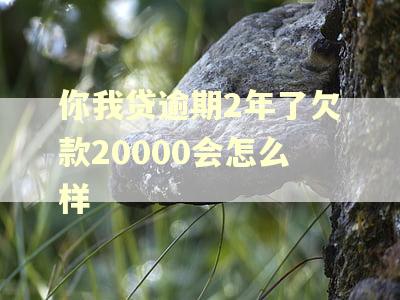 你我贷逾期2年了欠款20000会怎么样