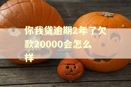 你我贷逾期2年了欠款20000会怎么样