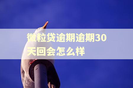 微粒贷逾期逾期30天回会怎么样