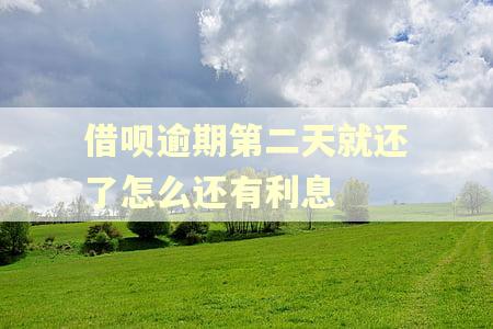 借呗逾期第二天就还了怎么还有利息