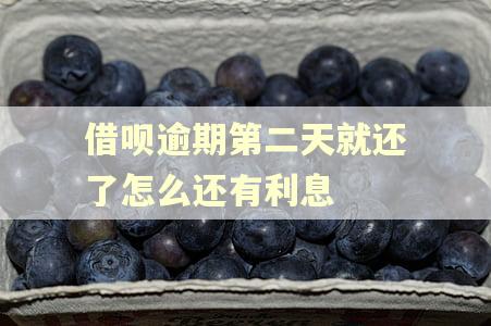 借呗逾期第二天就还了怎么还有利息
