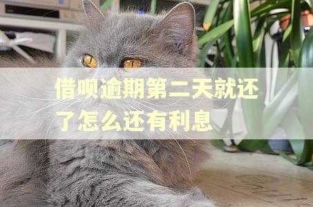 借呗逾期第二天就还了怎么还有利息 借呗逾期第二天就还了怎么还有利息
