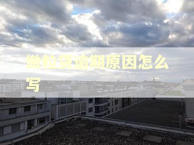 微粒贷逾期原因怎么写