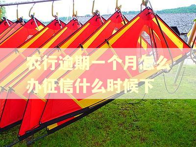 农行逾期一个月怎么办征信什么时候下