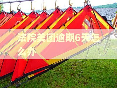 法院美团逾期6天怎么办