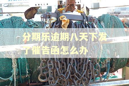 分期乐逾期八天下发了催告函怎么办