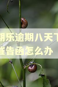 分期乐逾期八天下发了催告函怎么办