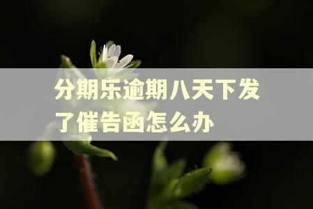 分期乐逾期八天下发了催告函怎么办