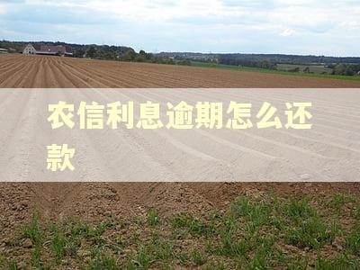 农信利息逾期怎么还款