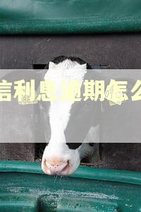 农信利息逾期怎么还款