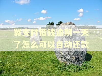 翼支付借钱逾期一天了怎么可以自动还款