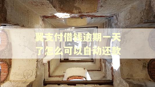翼支付借钱逾期一天了怎么可以自动还款