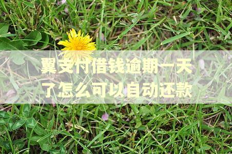 翼支付借钱逾期一天了怎么可以自动还款