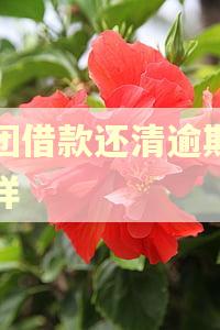 美团借款还清逾期怎么样