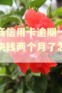 招商信用卡逾期一千多块钱两个月了怎么办