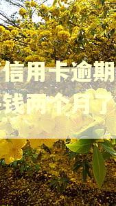 招商信用卡逾期一千多块钱两个月了怎么办 招商信用卡逾期一千多块钱两个月了怎么办
