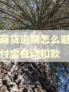 网商贷逾期怎么避免支付宝自动扣款