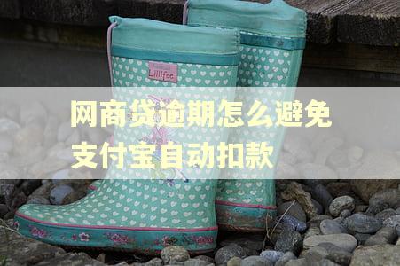 网商贷逾期怎么避免支付宝自动扣款