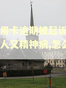 信用卡逾期被起诉了本人又精神病,怎么办