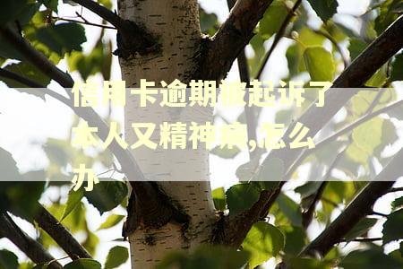 信用卡逾期被起诉了本人又精神病,怎么办