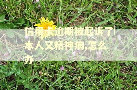 信用卡逾期被起诉了本人又精神病,怎么办 信用卡逾期被起诉了本人又精神病,怎么办