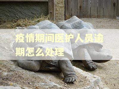 疫情期间医护人员逾期怎么处理