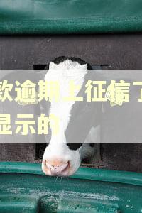 贷款逾期上征信了怎么显示的