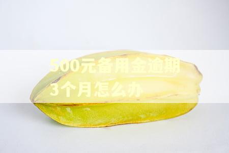 500元备用金逾期3个月怎么办