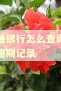 交通银行怎么查询贷款逾期记录