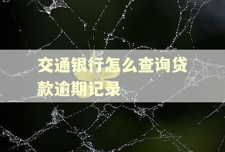 交通银行怎么查询贷款逾期记录 交通银行怎么查询贷款逾期记录