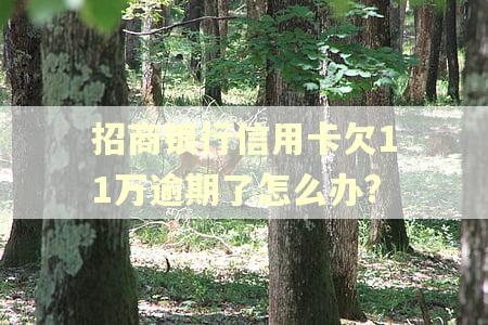 招商银行信用卡欠11万逾期了怎么办?