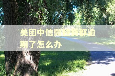 美团中信微粒贷都逾期了怎么办