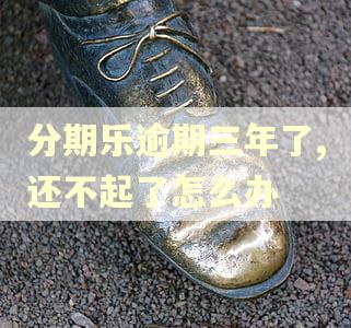 分期乐逾期三年了,还不起了怎么办