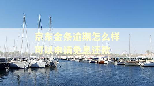 京东金条逾期怎么样可以申请免息还款
