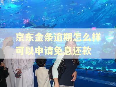 京东金条逾期怎么样可以申请免息还款 京东金条逾期怎么样可以申请免息还款