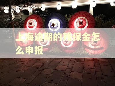 上海逾期的残保金怎么申报