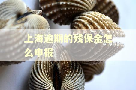 上海逾期的残保金怎么申报