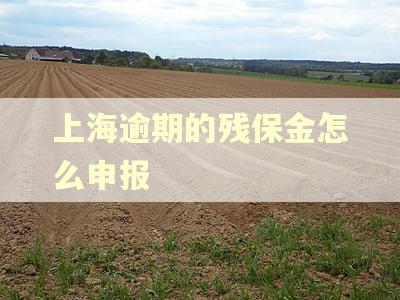 上海逾期的残保金怎么申报