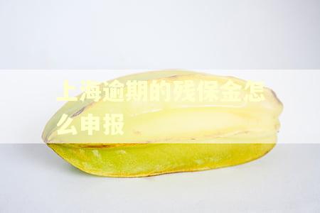上海逾期的残保金怎么申报