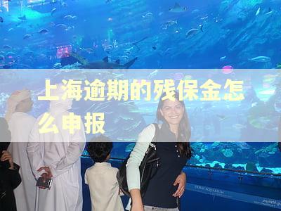 上海逾期的残保金怎么申报 上海逾期的残保金怎么申报